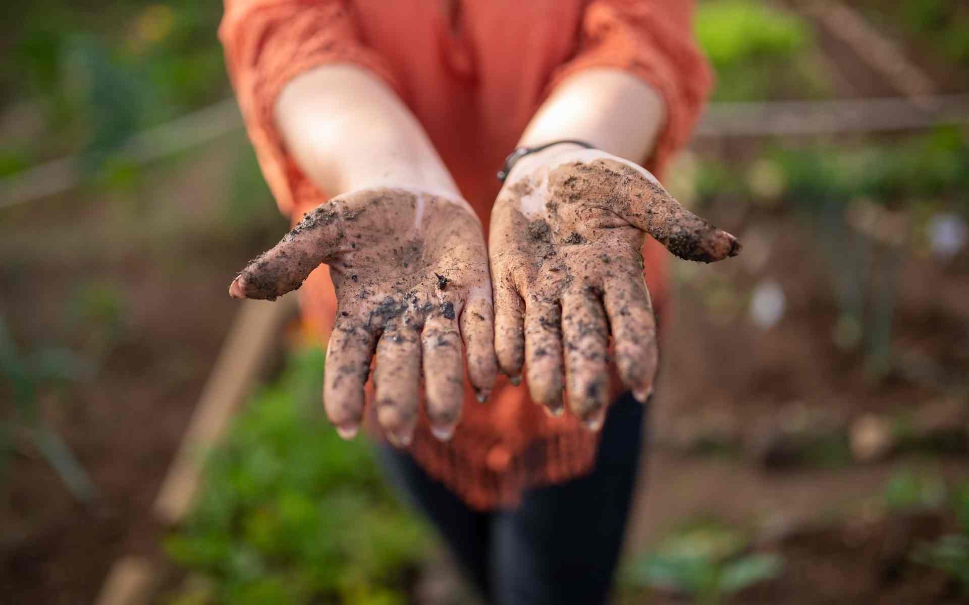A Dirty Recipe for Perfect Soil - TreePeople