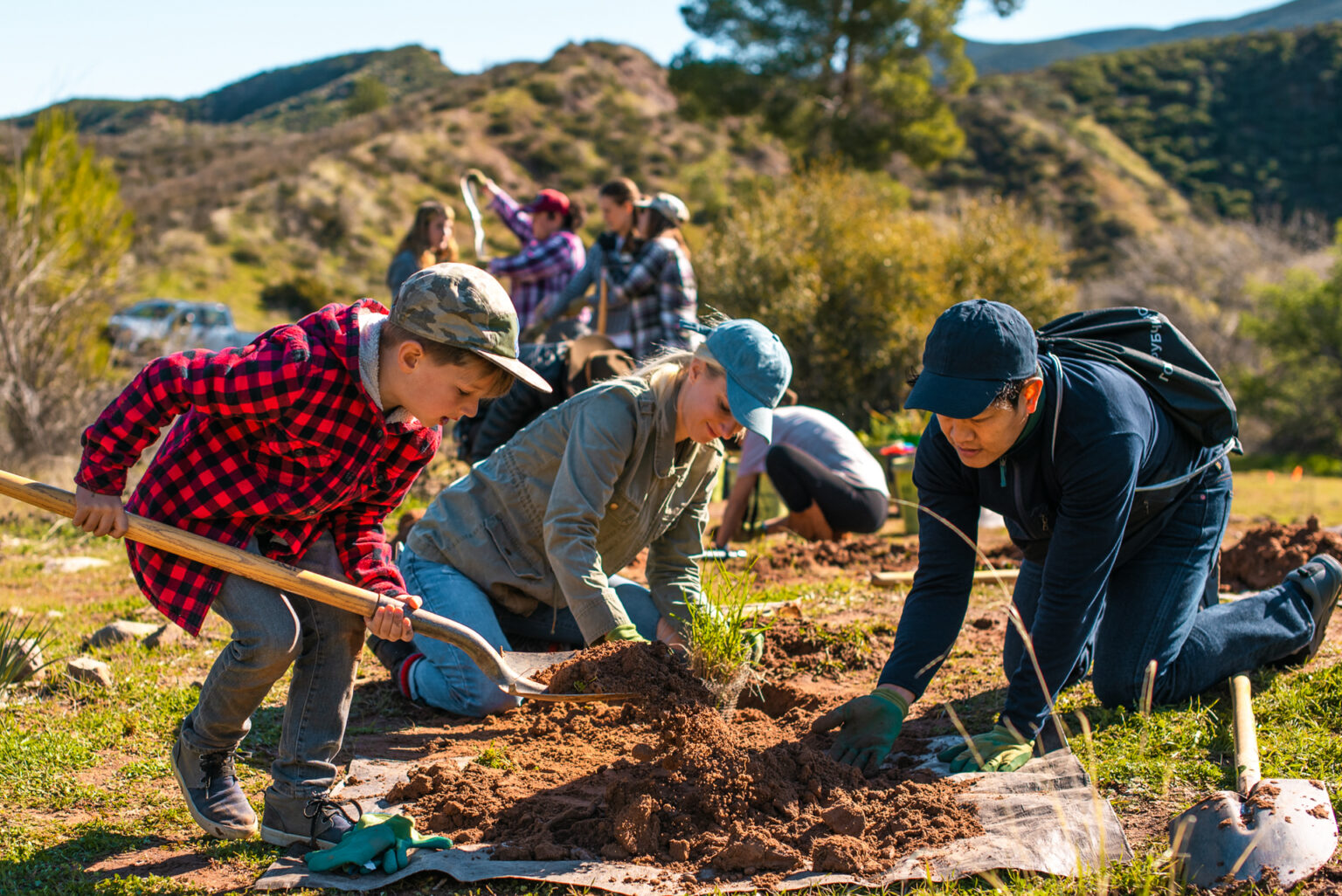 People planting trees