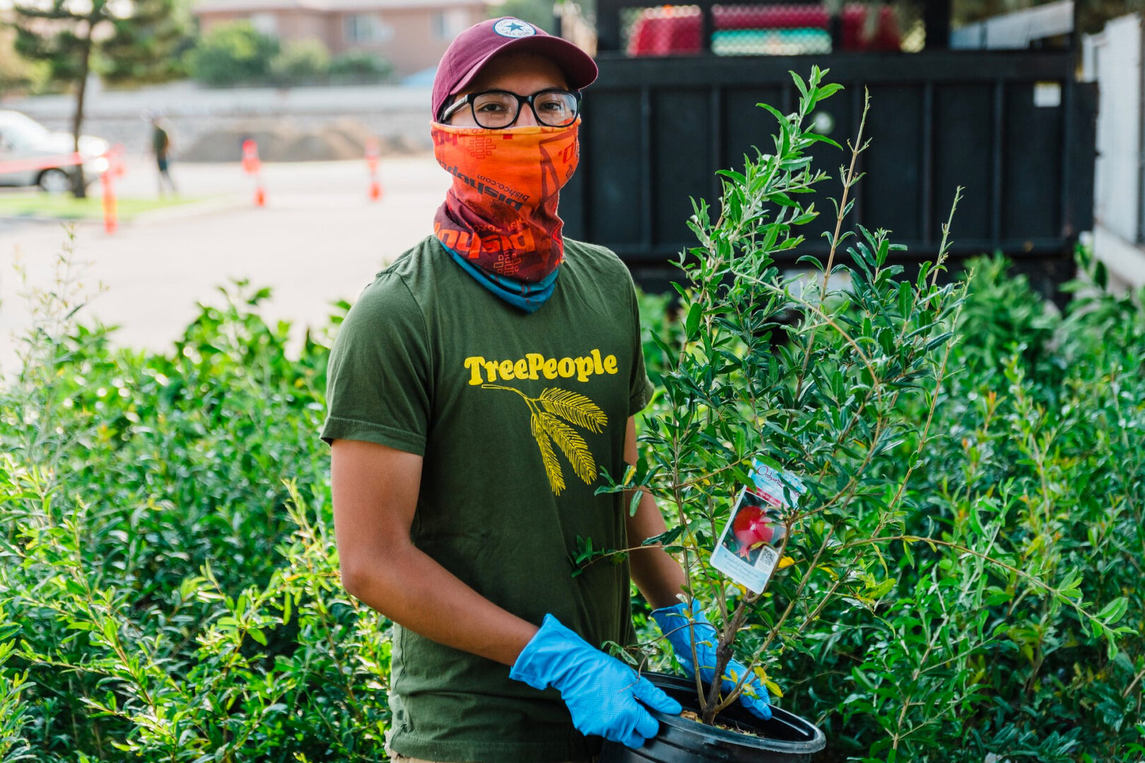 TreePeople distributes free fruit trees to residents living in “food