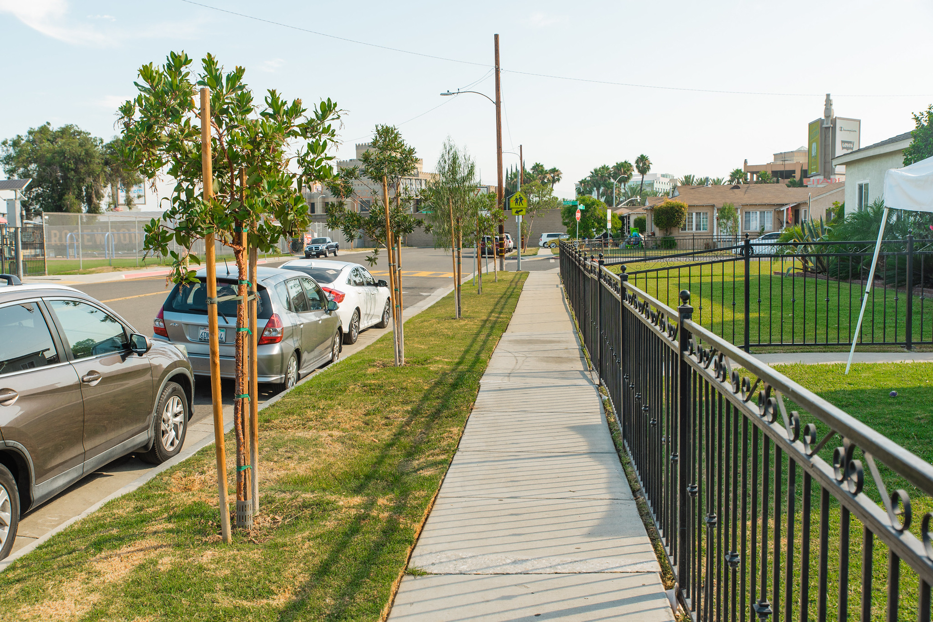 Let’s GREEN Riverside - TreePeople