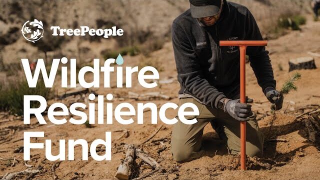 TreePeople Wildlife Resilience Fund