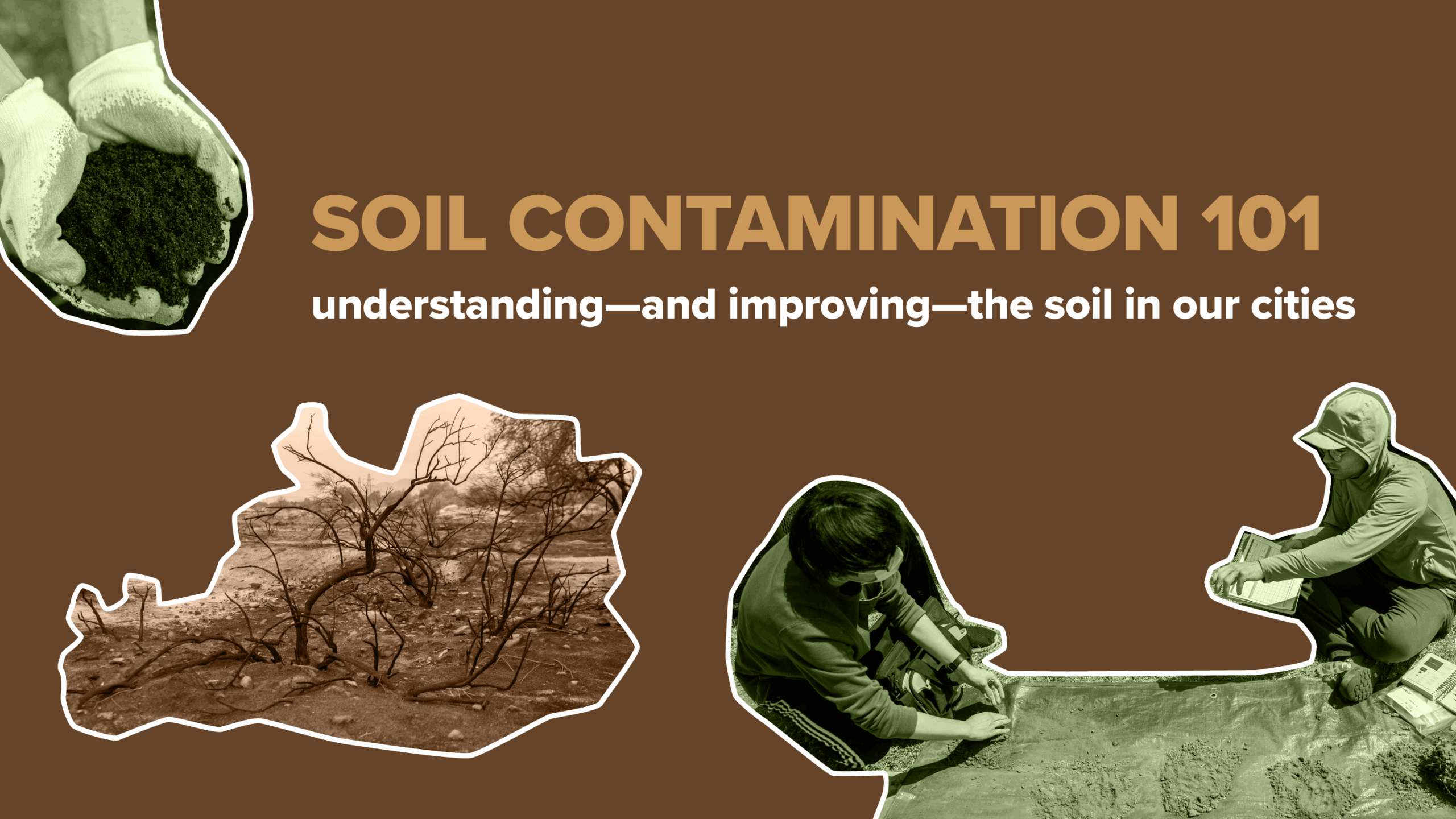 Soil contamination 101: understanding—and improving—our urban soil Soil contamination 101: understanding—and improving—our urban soil