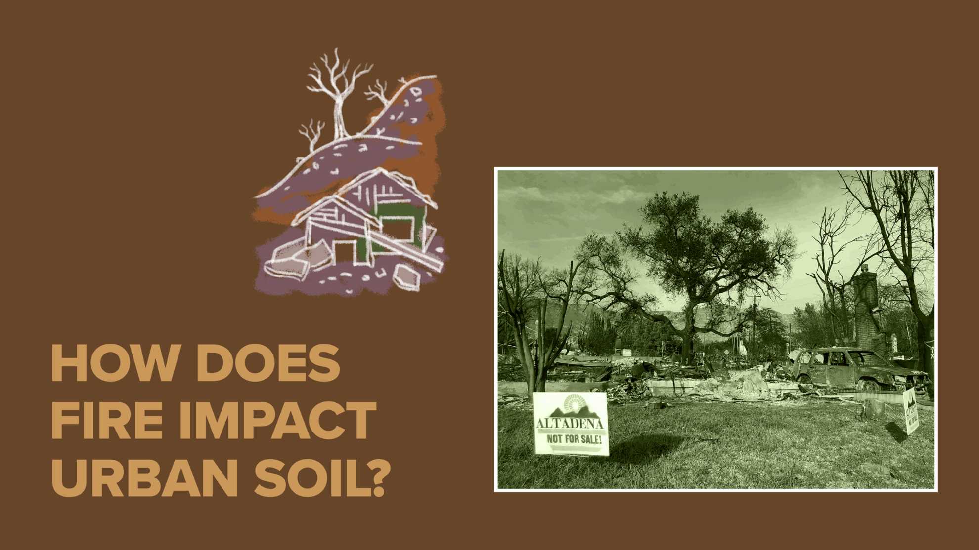 Soil contamination 101: understanding—and improving—our urban soil ...
