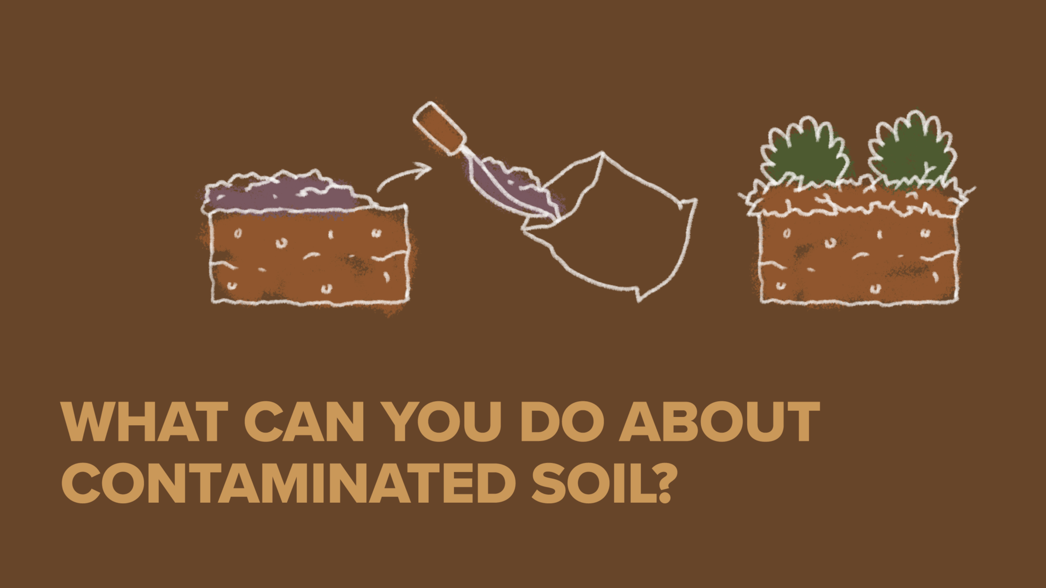 Soil contamination 101: understanding—and improving—our urban soil ...