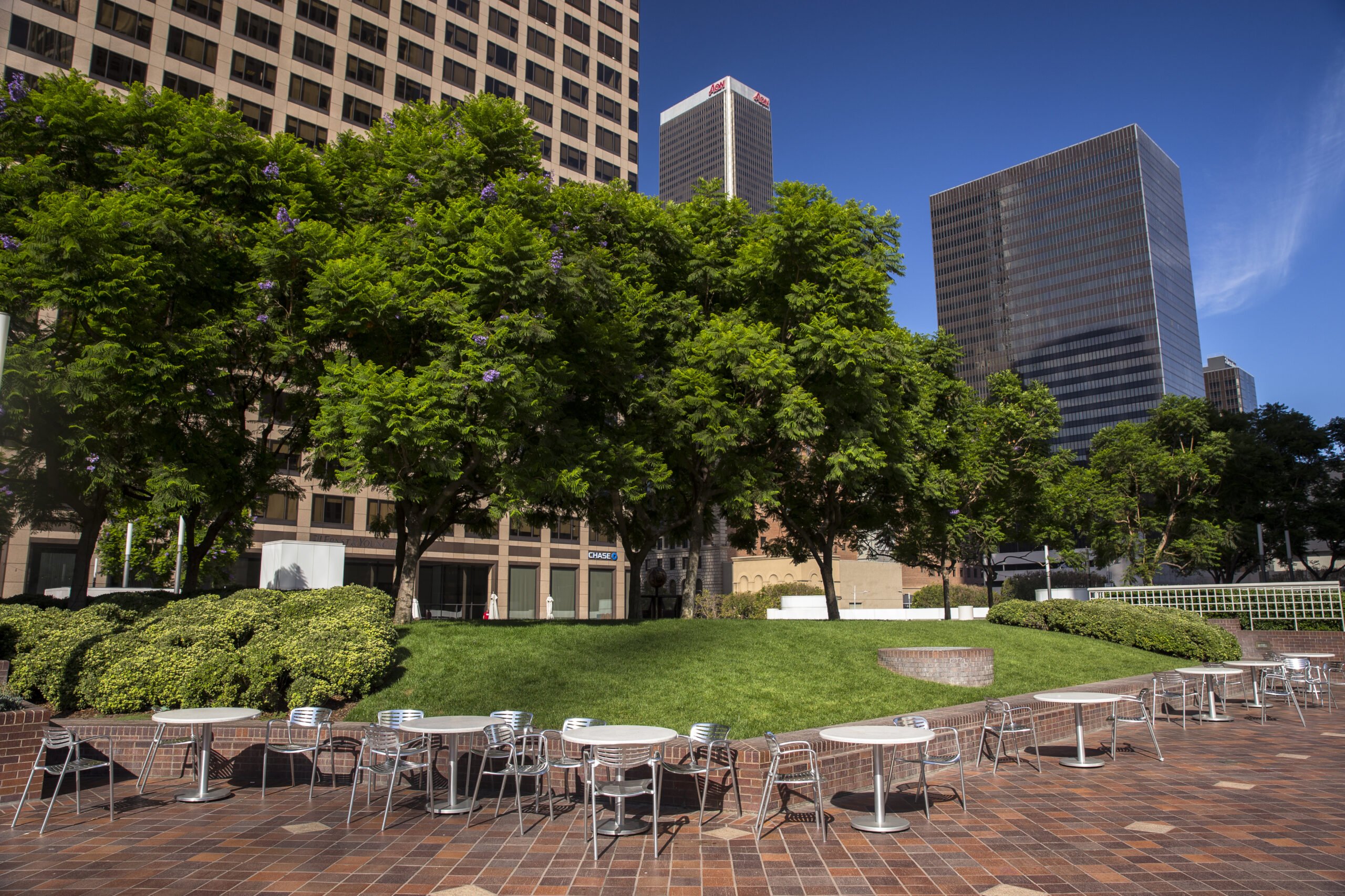 How to Create a More Tree-Friendly City 