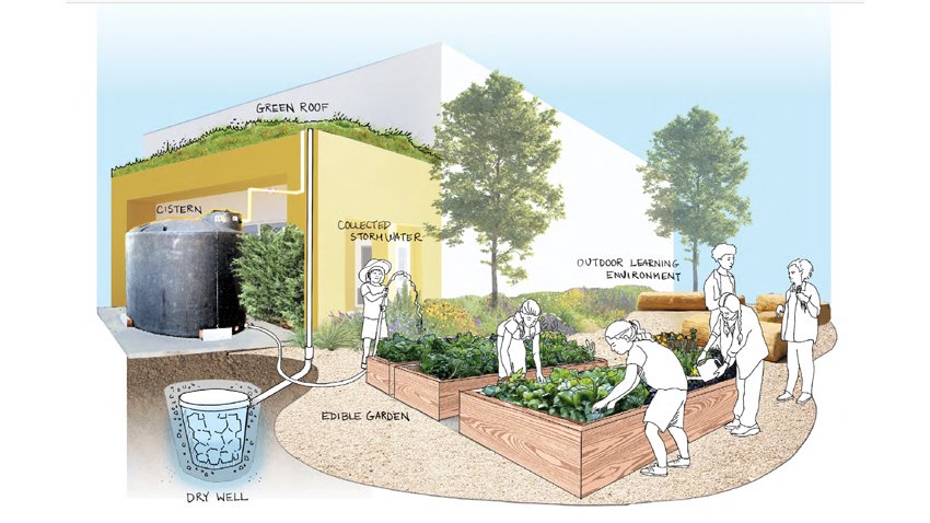 Living Schoolyards Scientific Study