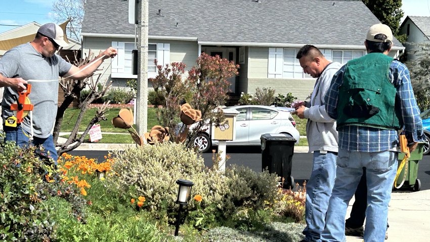 Socio-Economic Benefits of LA Trees Study