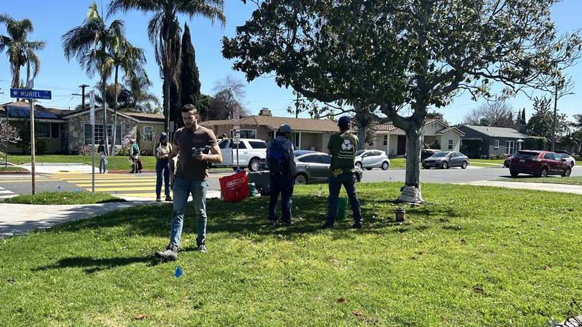 Residential Landscape Diversity Study Soil