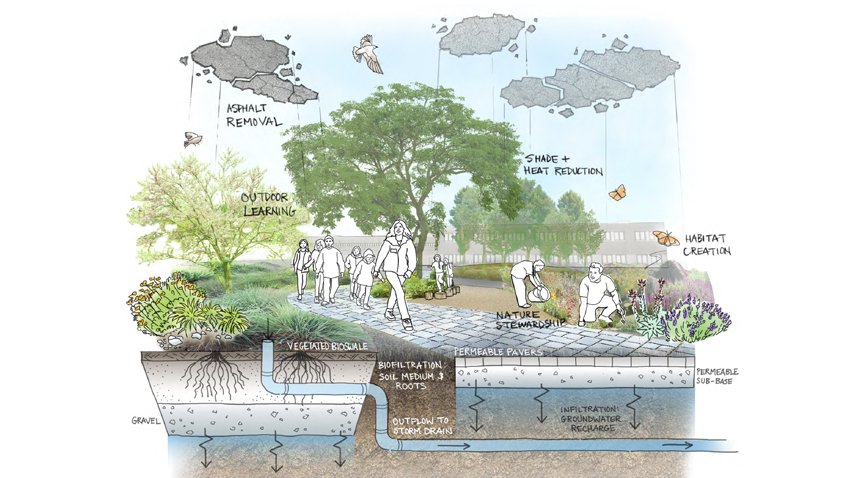 Living Schoolyards Scientific Study