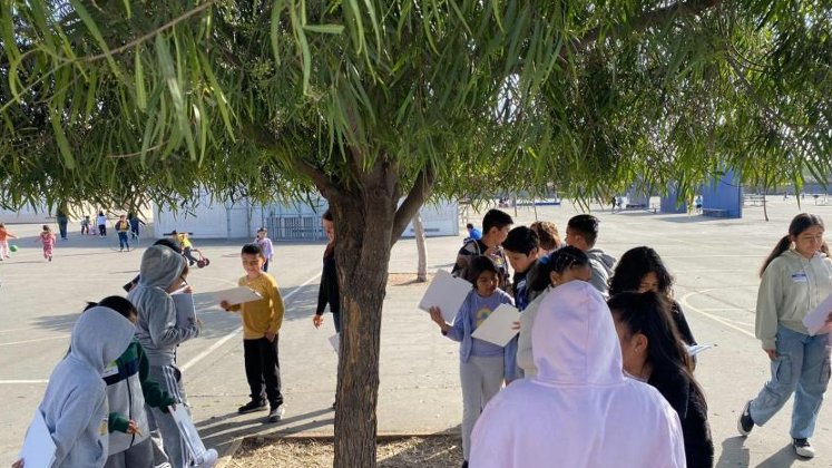 Climate Resilience in the Schoolyard